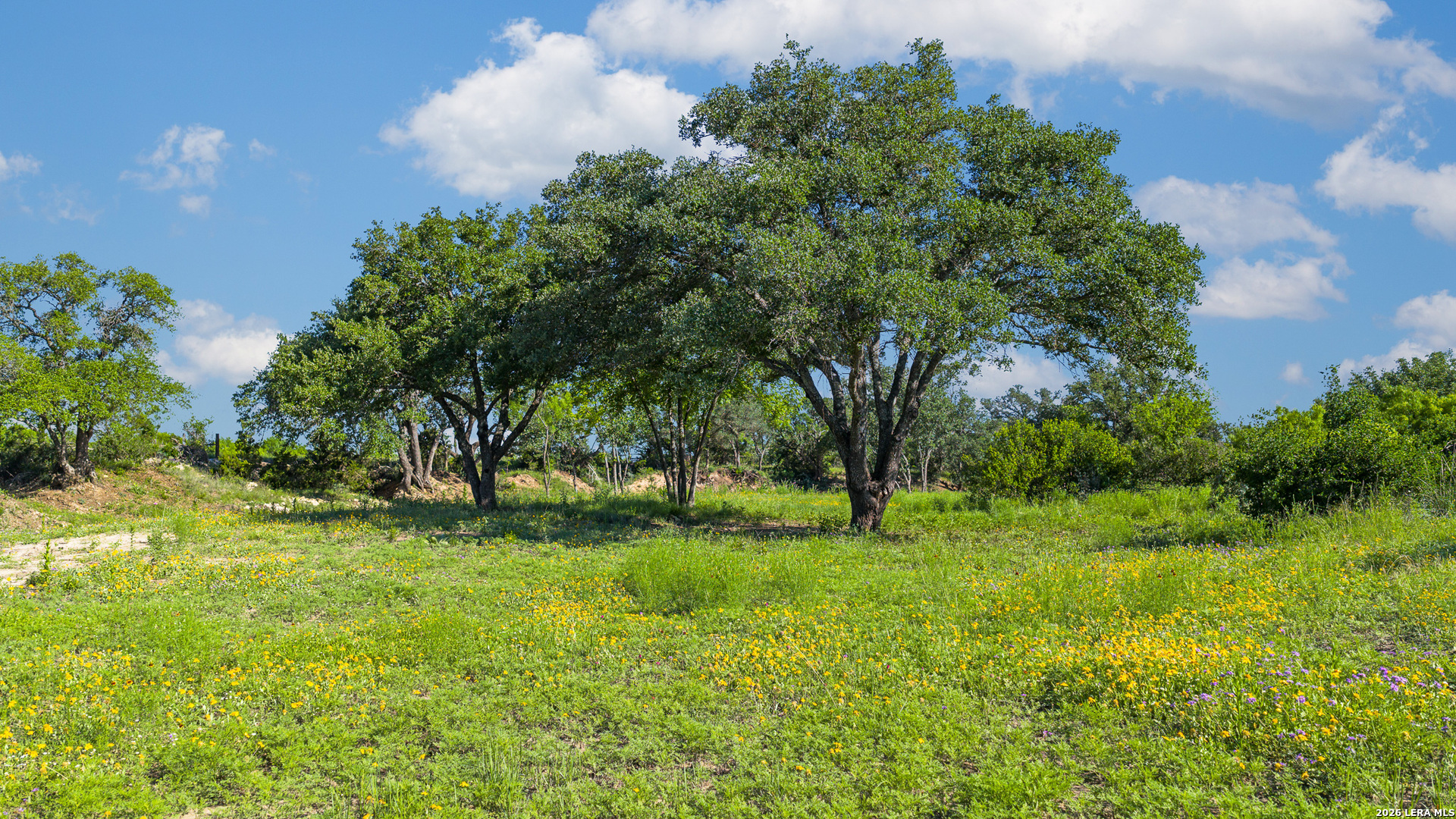 Tbd Fm 1221 London TX 76854