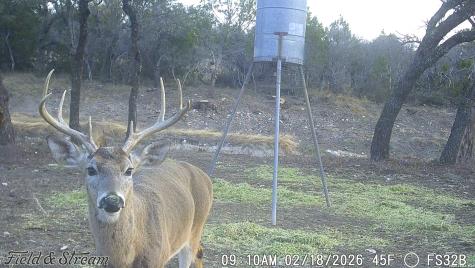 Tbd Fm 1221 London TX 76854
