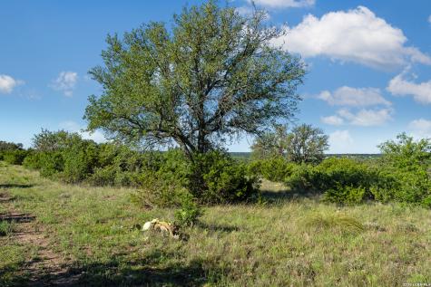 Tbd Fm 1221 London TX 76854