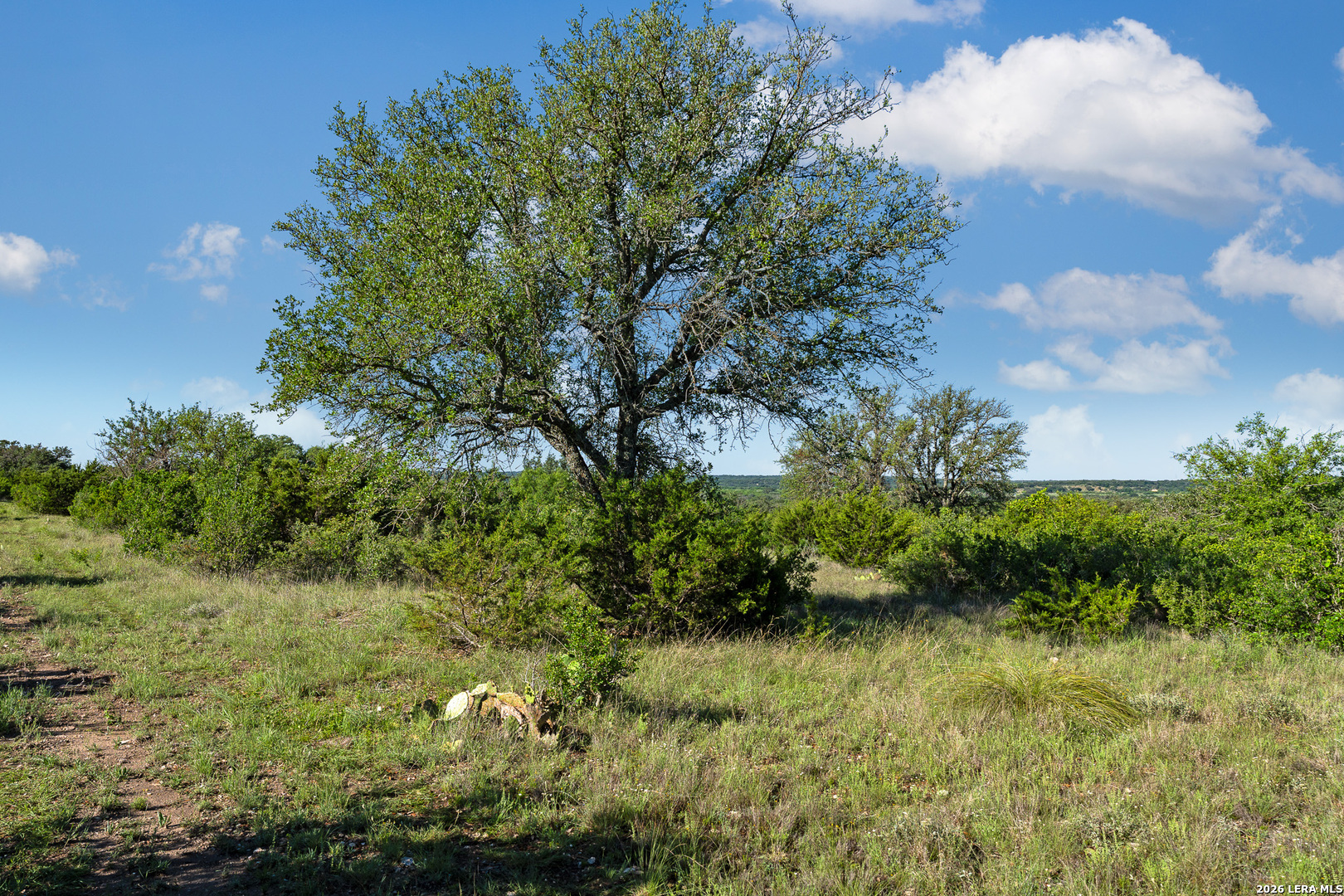 Tbd Fm 1221 London TX 76854
