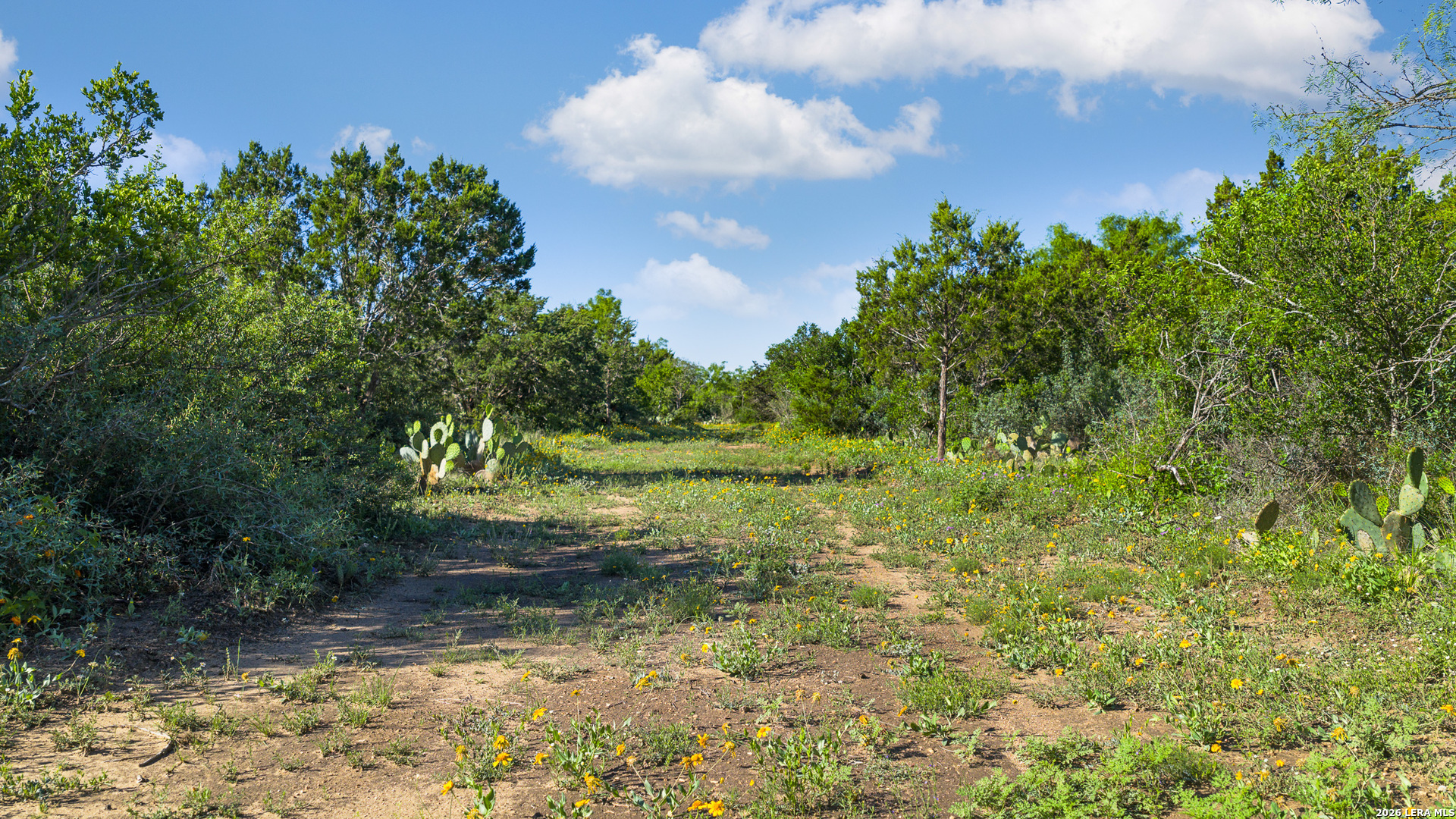 Tbd Fm 1221 London TX 76854