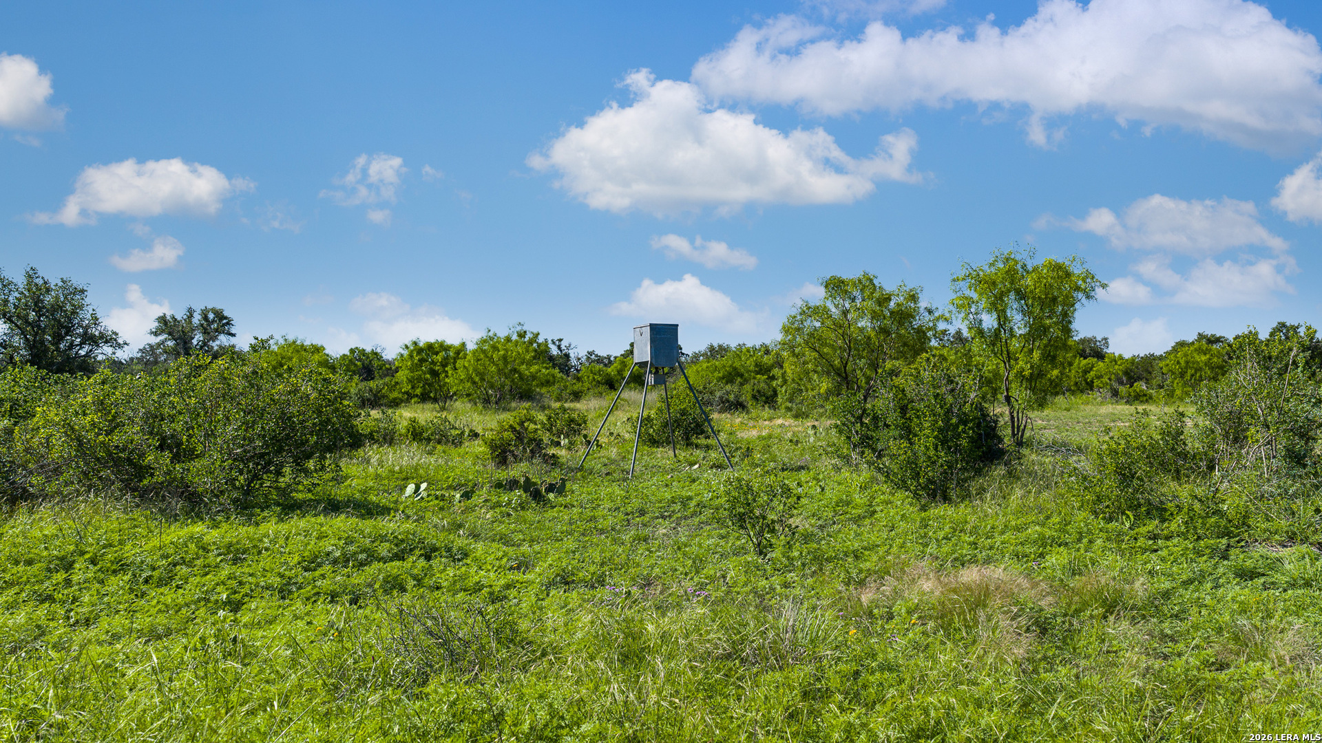 Tbd Fm 1221 London TX 76854