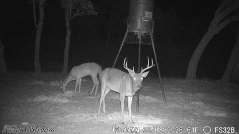 Tbd Fm 1221 London TX 76854