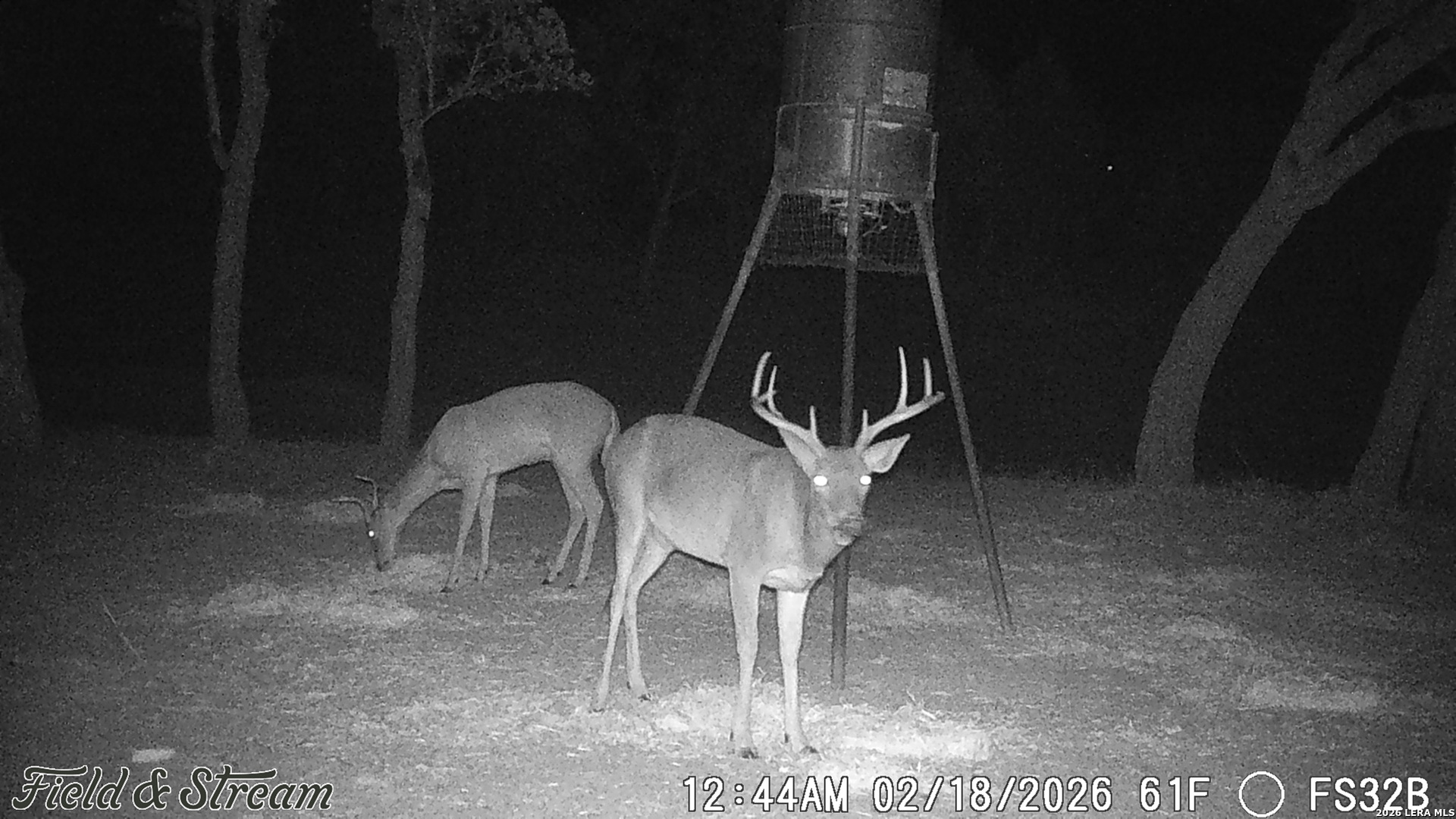 Tbd Fm 1221 London TX 76854