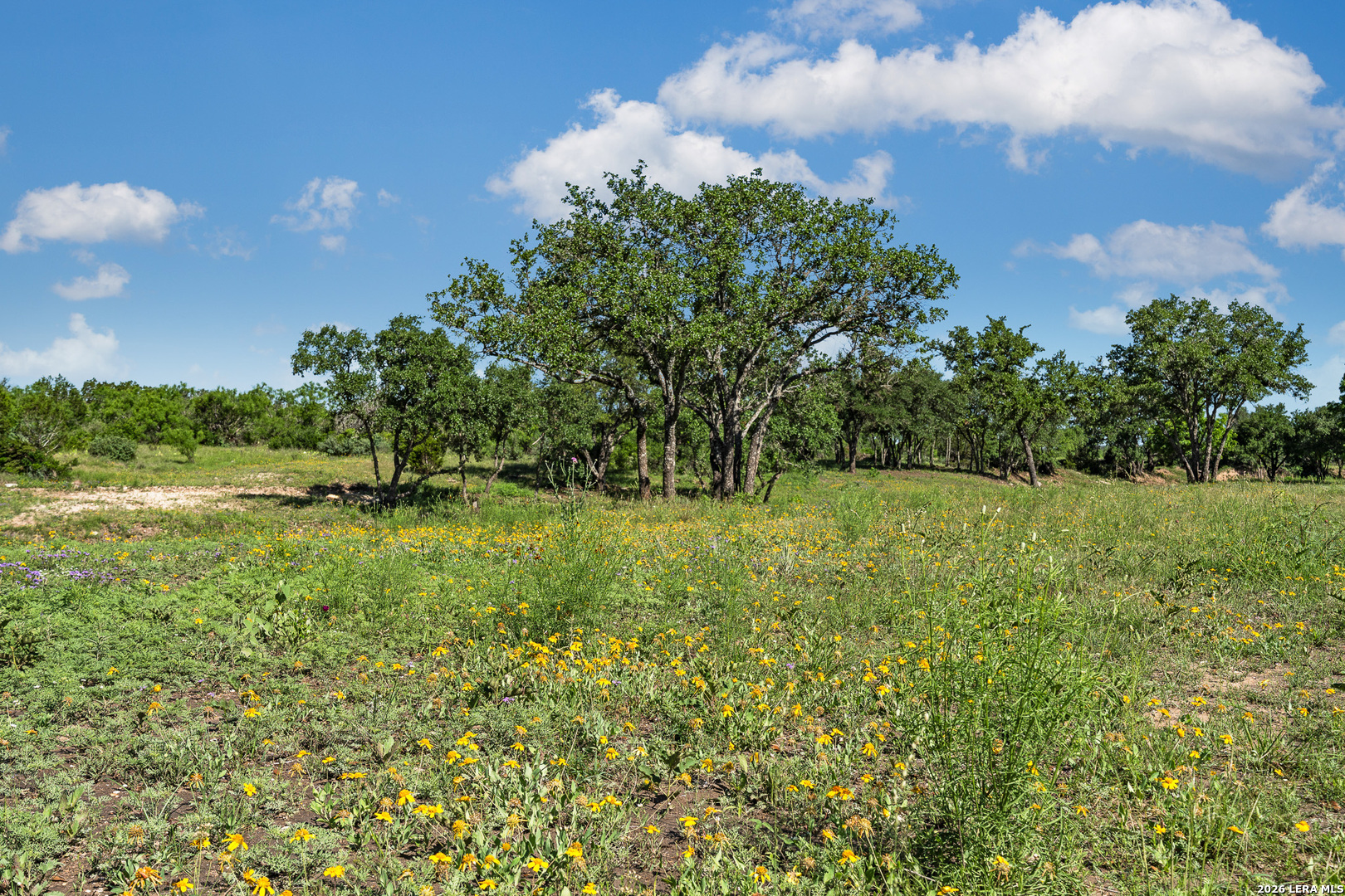 Tbd Fm 1221 London TX 76854