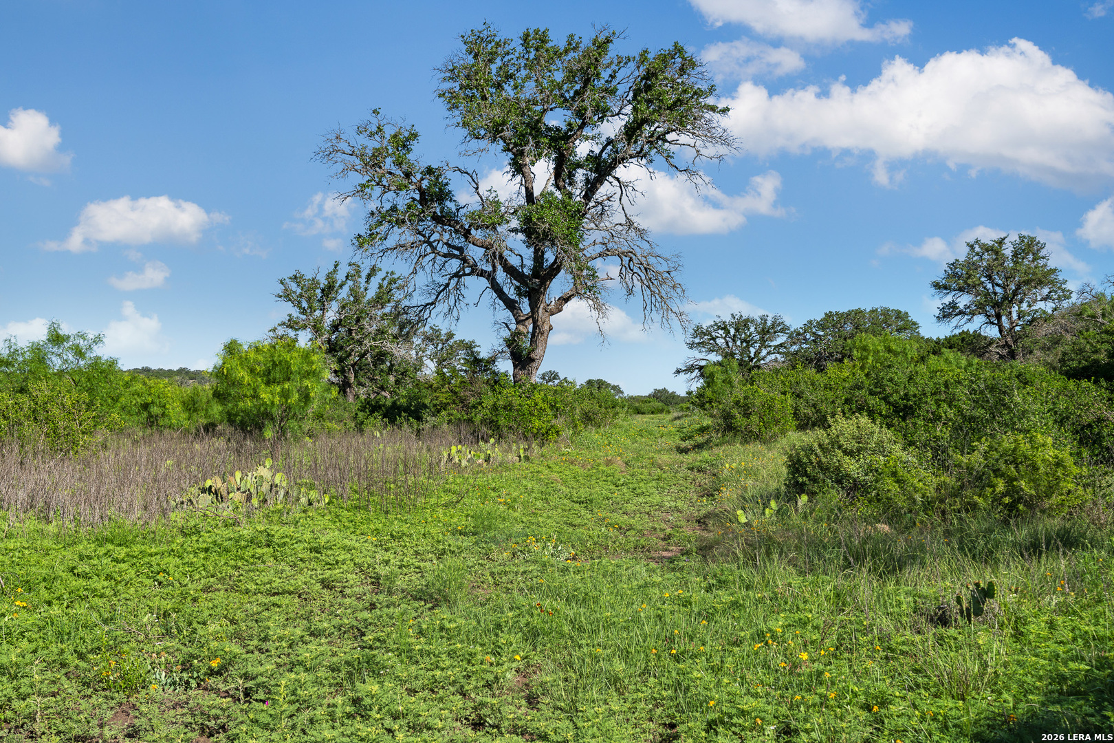 Tbd Fm 1221 London TX 76854
