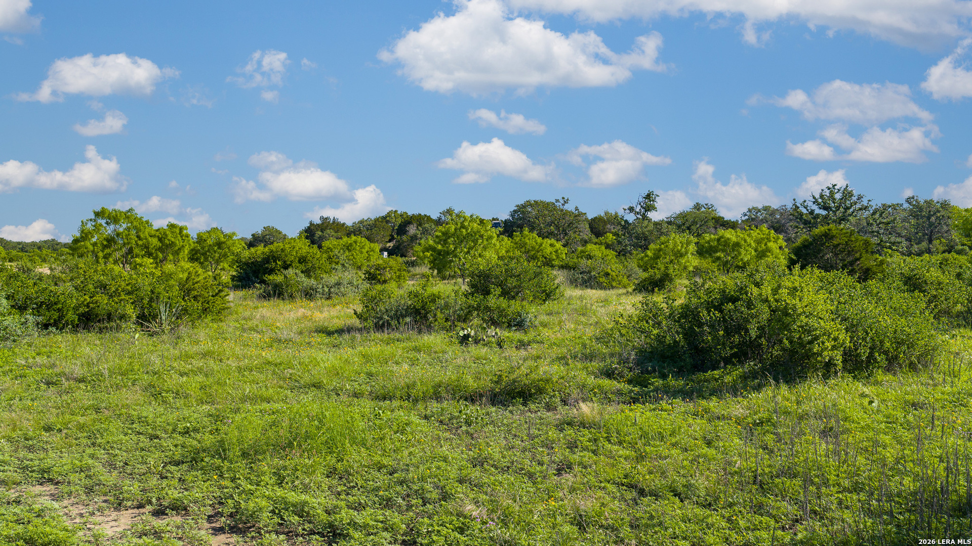Tbd Fm 1221 London TX 76854