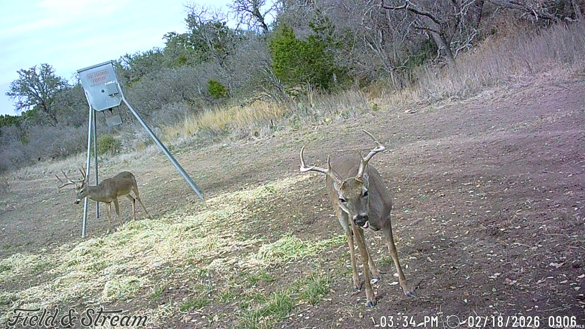 Tbd Fm 1221 London TX 76854
