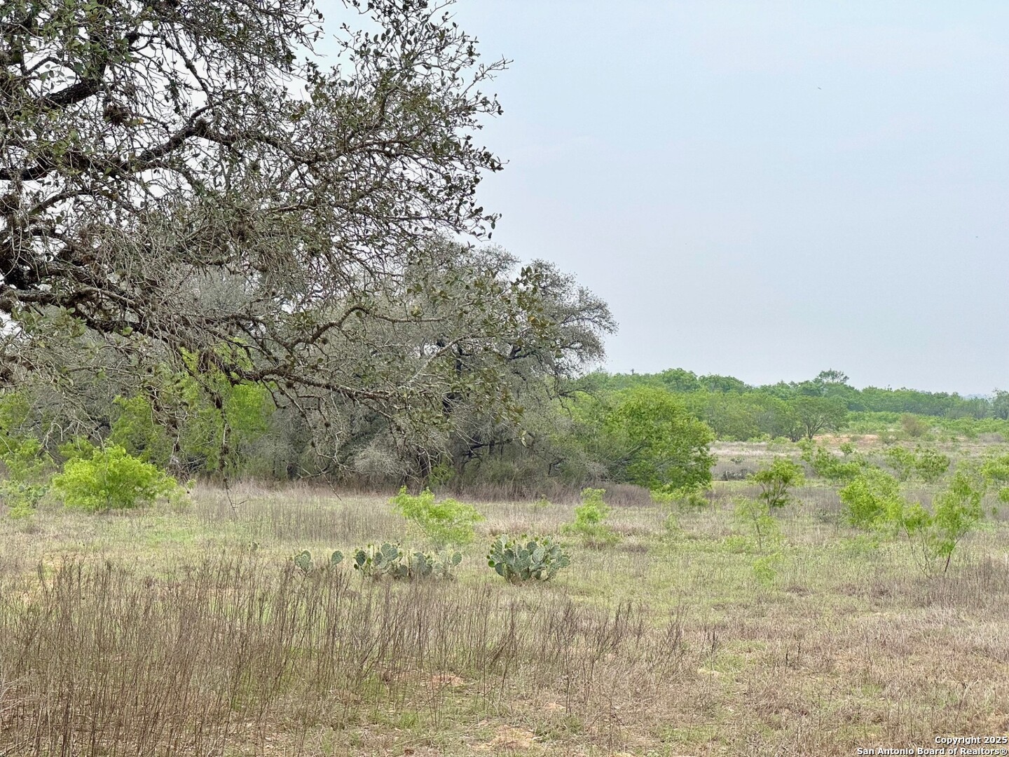 428 Horton Road Poteet TX 78065