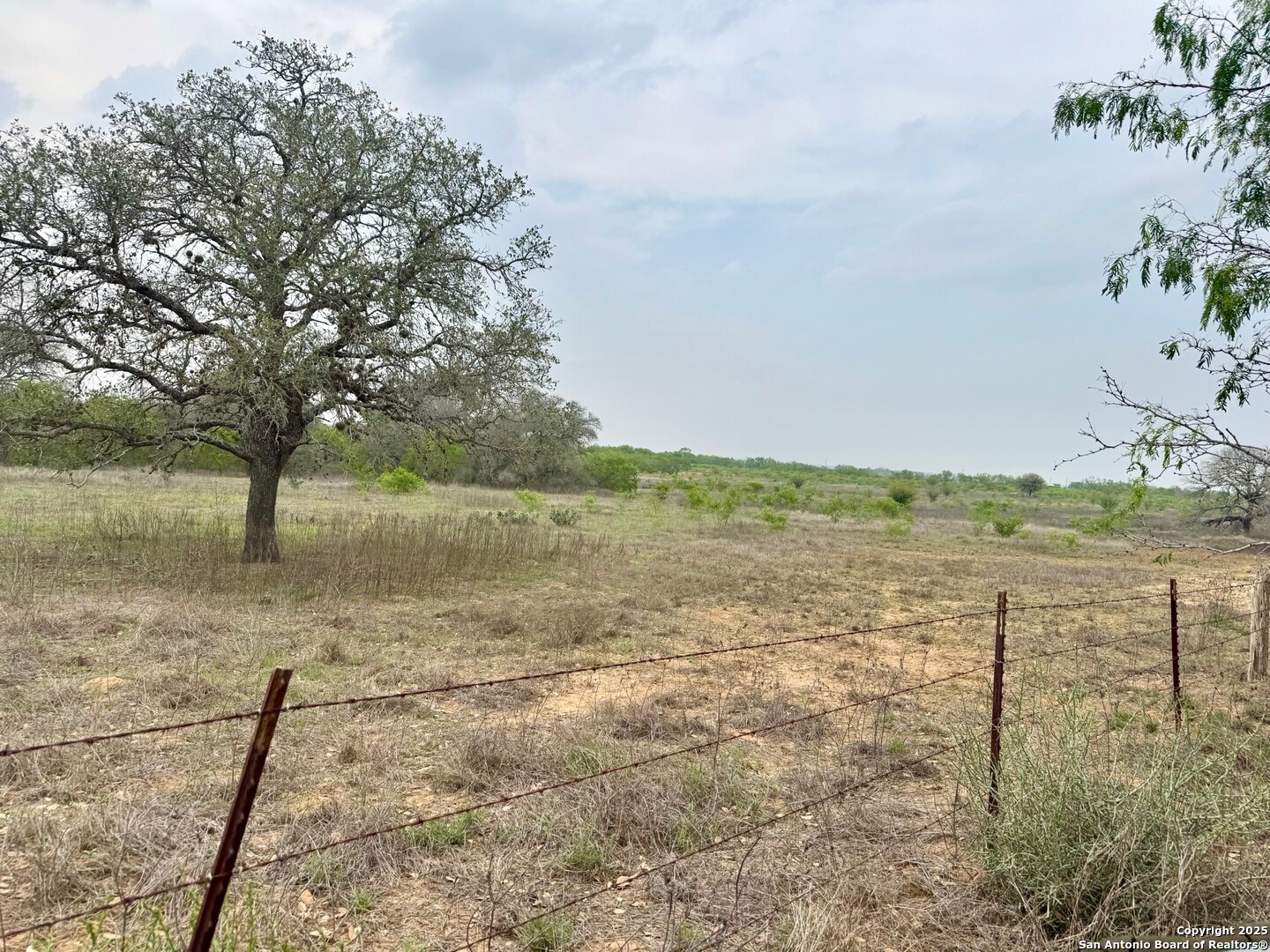 428 Horton Road Poteet TX 78065