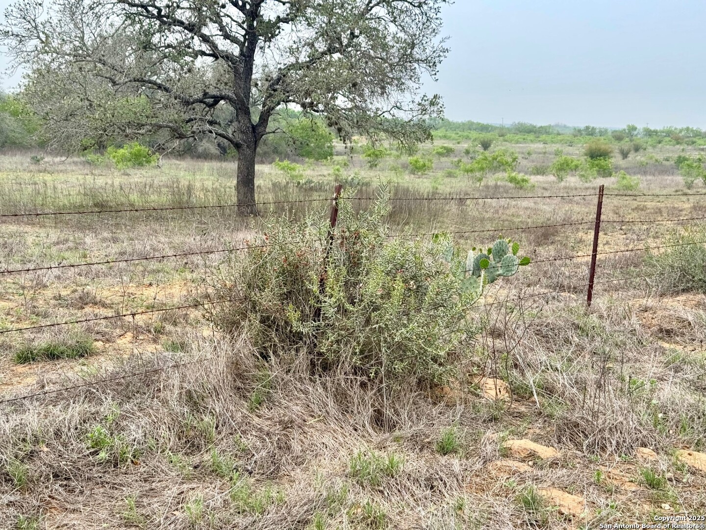 428 Horton Road Poteet TX 78065