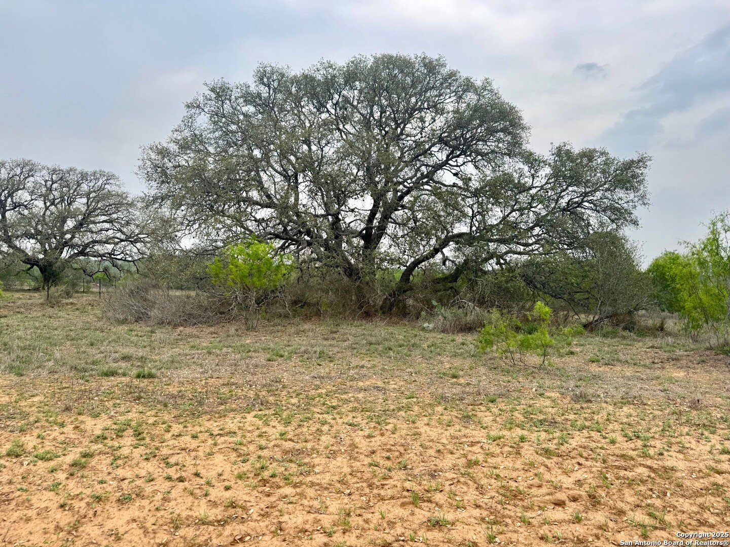 428 Horton Road Poteet TX 78065