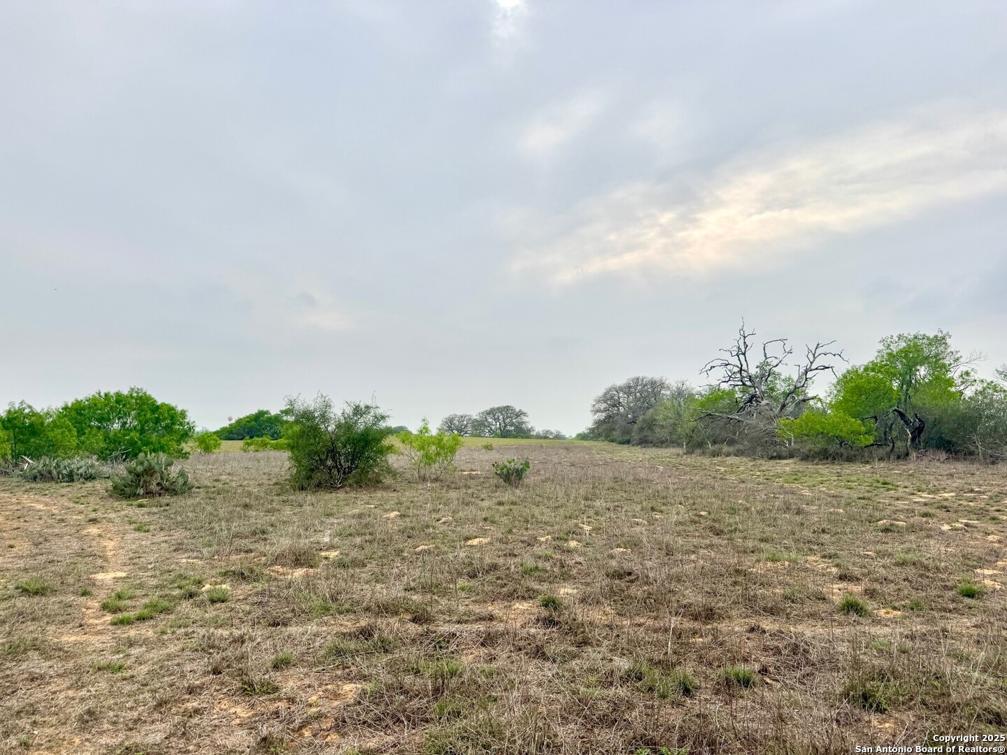 428 Horton Road Poteet TX 78065