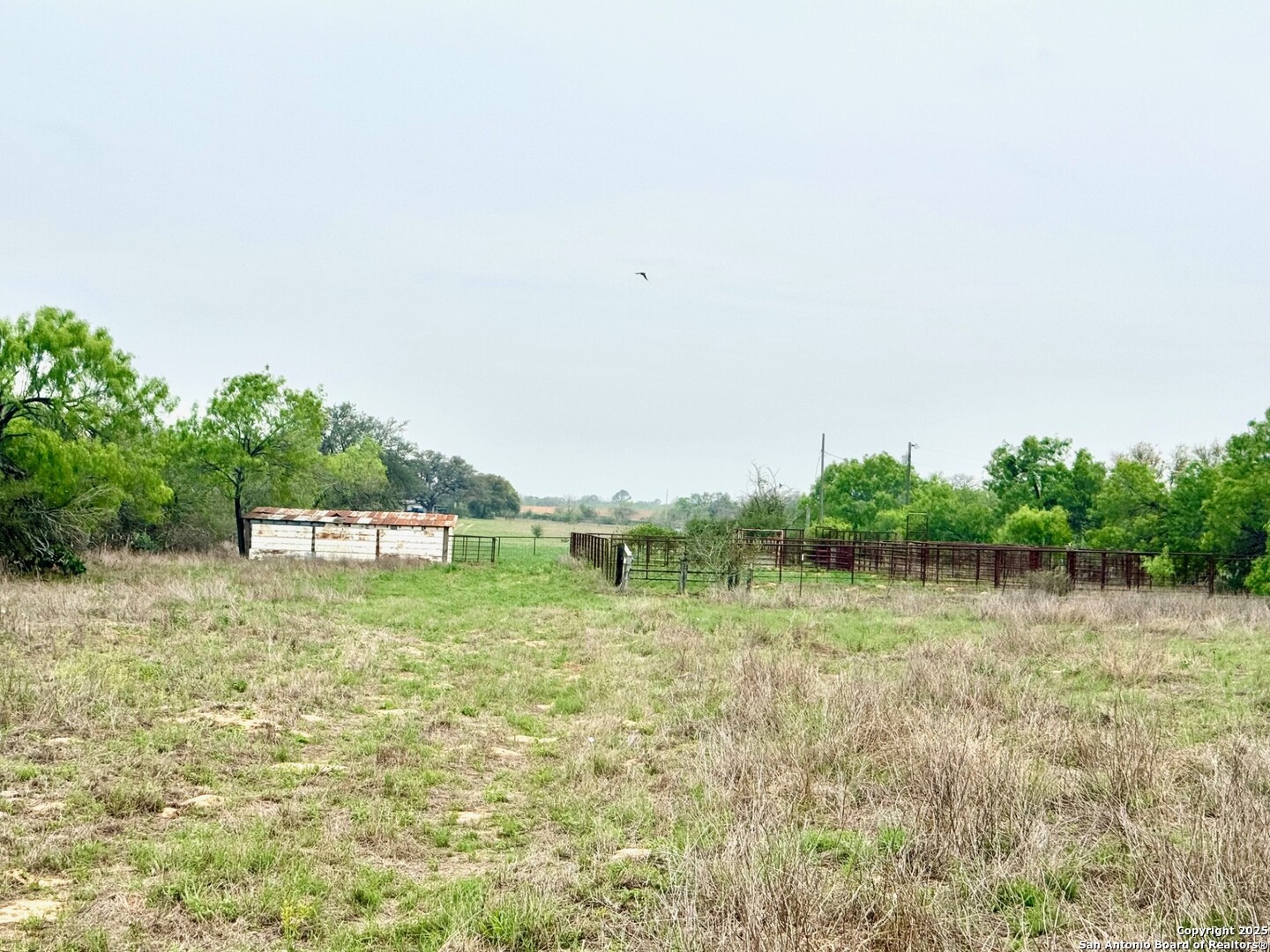 428 Horton Road Poteet TX 78065