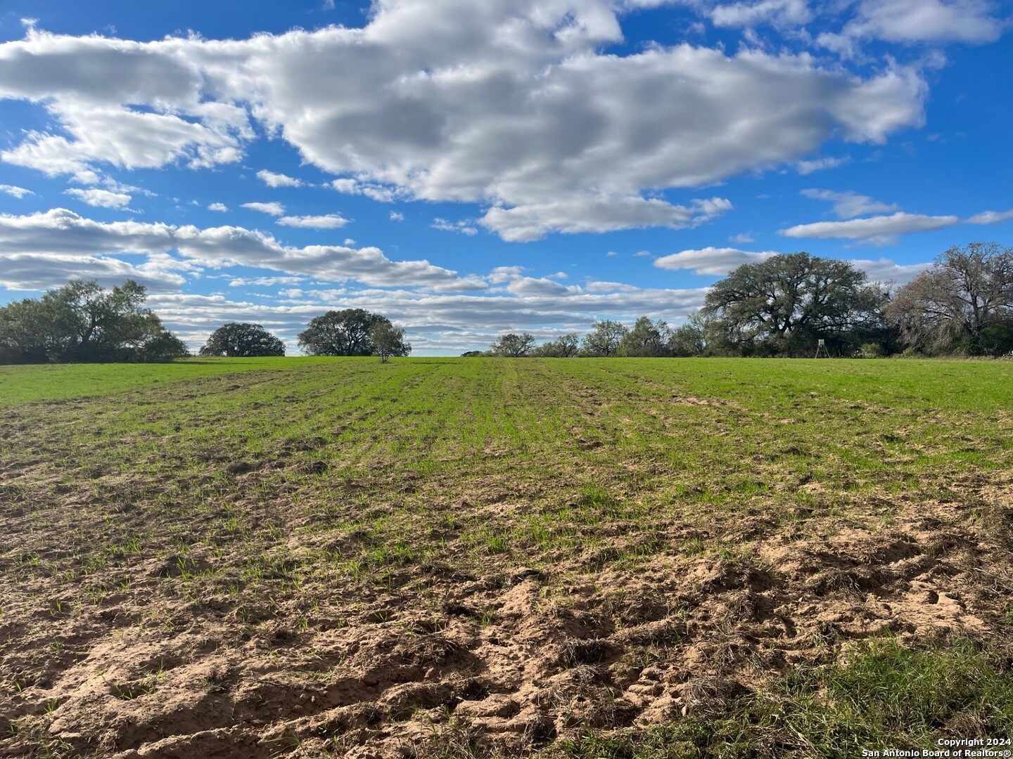 428 Horton Road Poteet TX 78065
