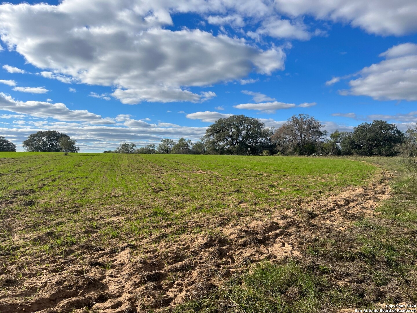 428 Horton Road Poteet TX 78065