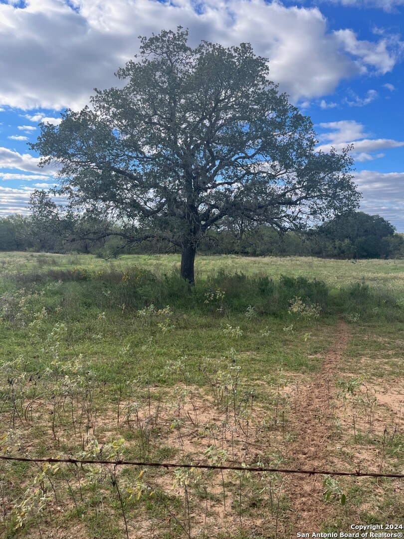 428 Horton Road Poteet TX 78065