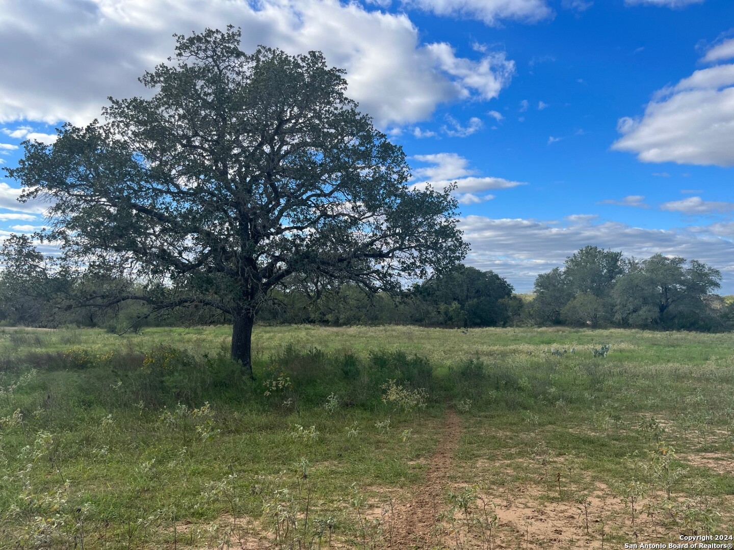 428 Horton Road Poteet TX 78065
