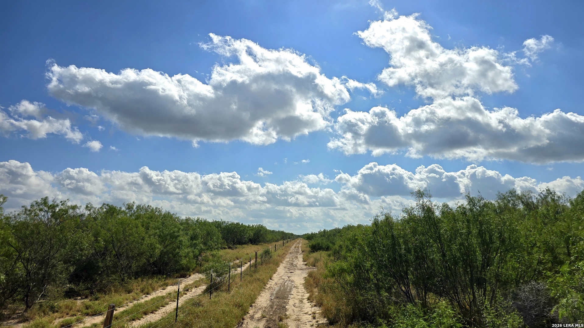 0 Highway 359 Mirando City TX 78369