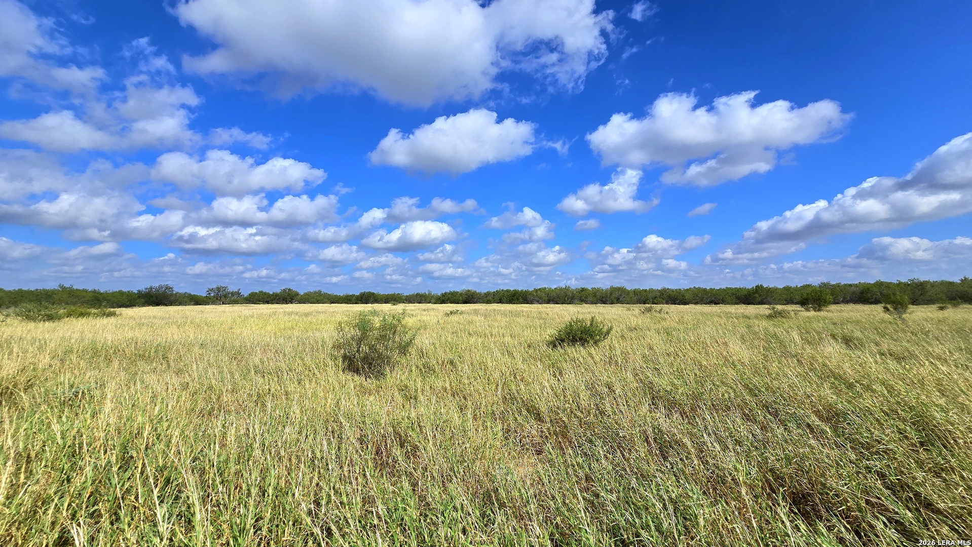 0 Highway 359 Mirando City TX 78369