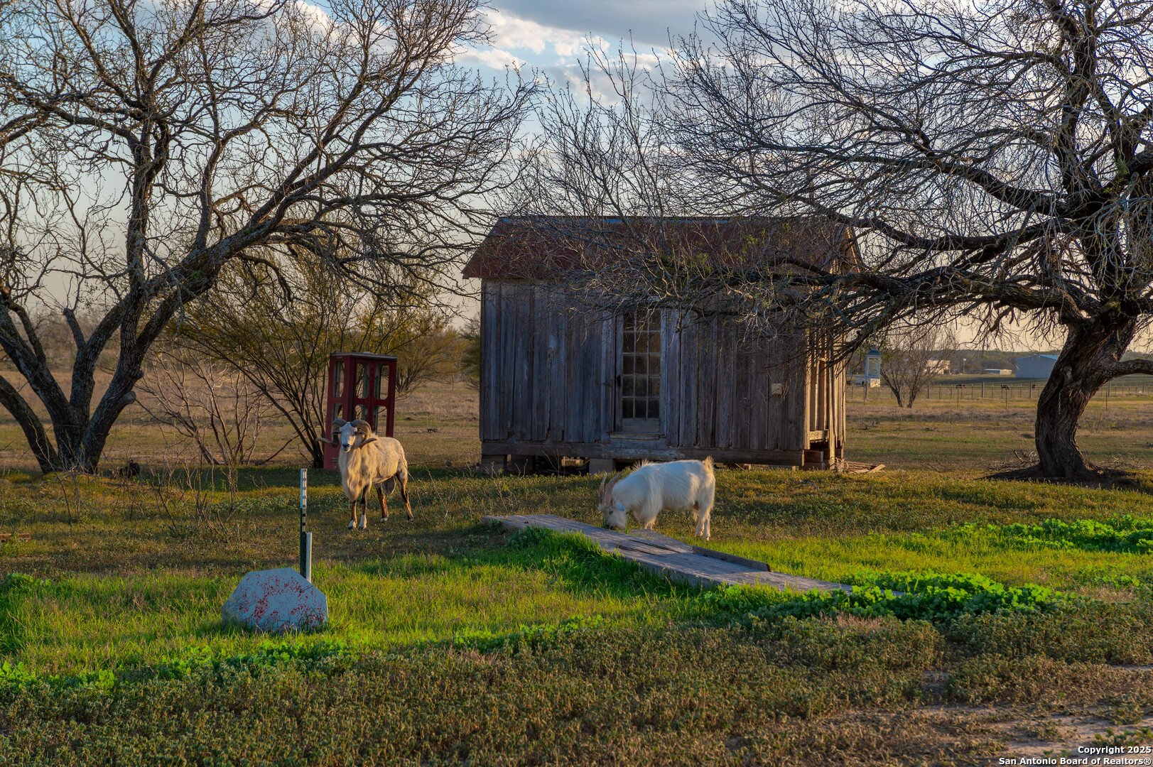 7150 Linne Seguin TX 78155