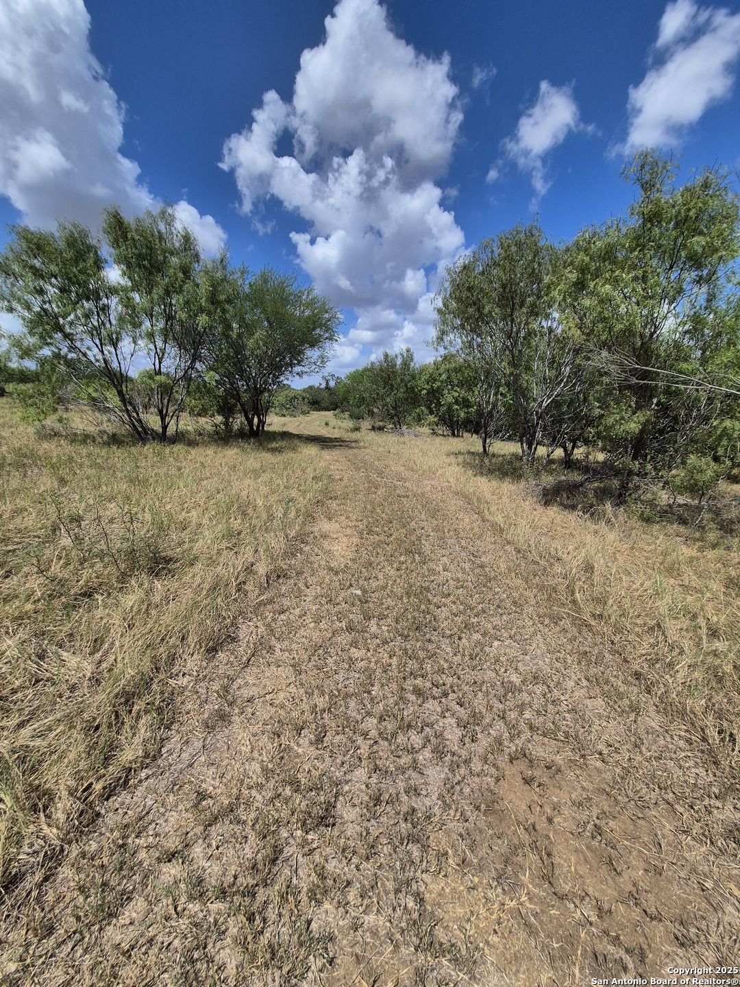 10951 (TRACT C) Kosub Lane San Antonio TX 78223