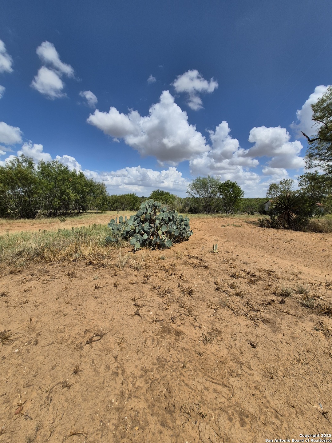 10951 (TRACT C) Kosub Lane San Antonio TX 78223