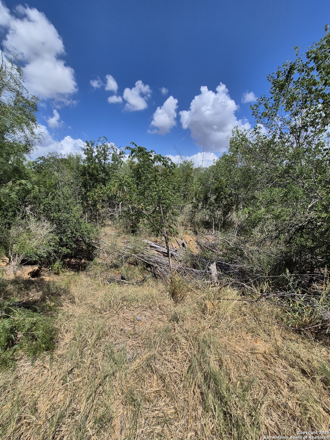 10951 (TRACT C) Kosub Lane San Antonio TX 78223