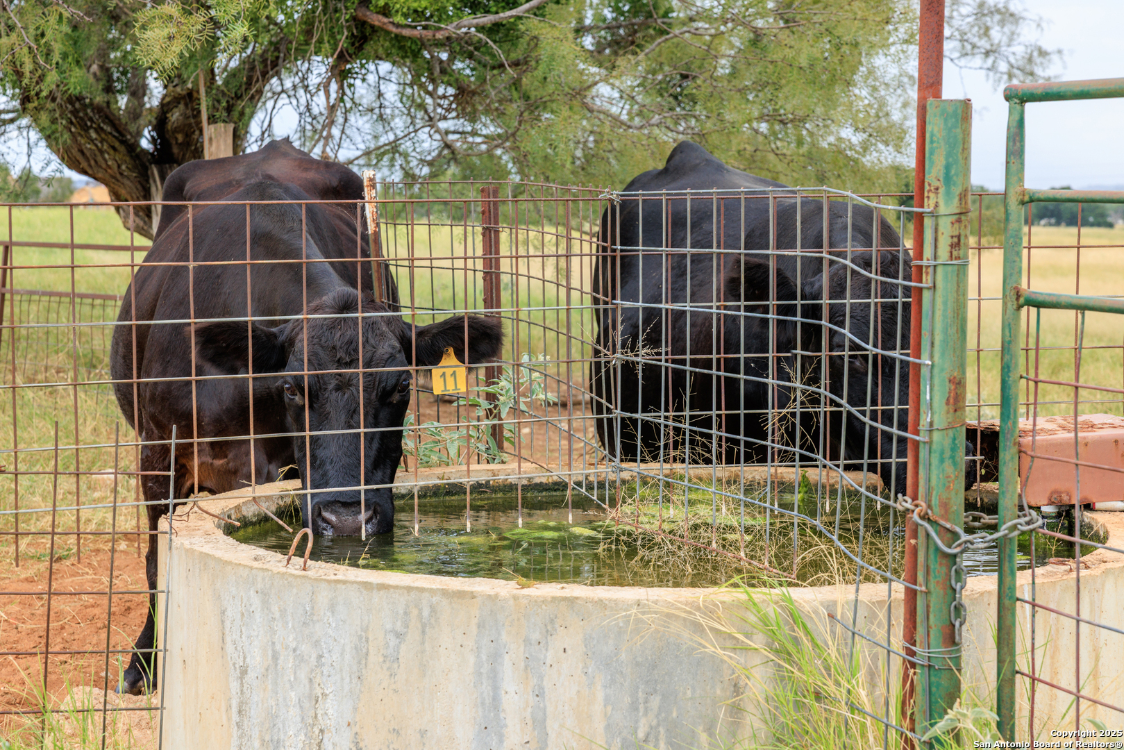 1080 S Eagle Street Fredericksburg TX 78624