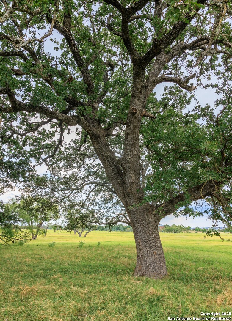 1080 S Eagle Street Fredericksburg TX 78624