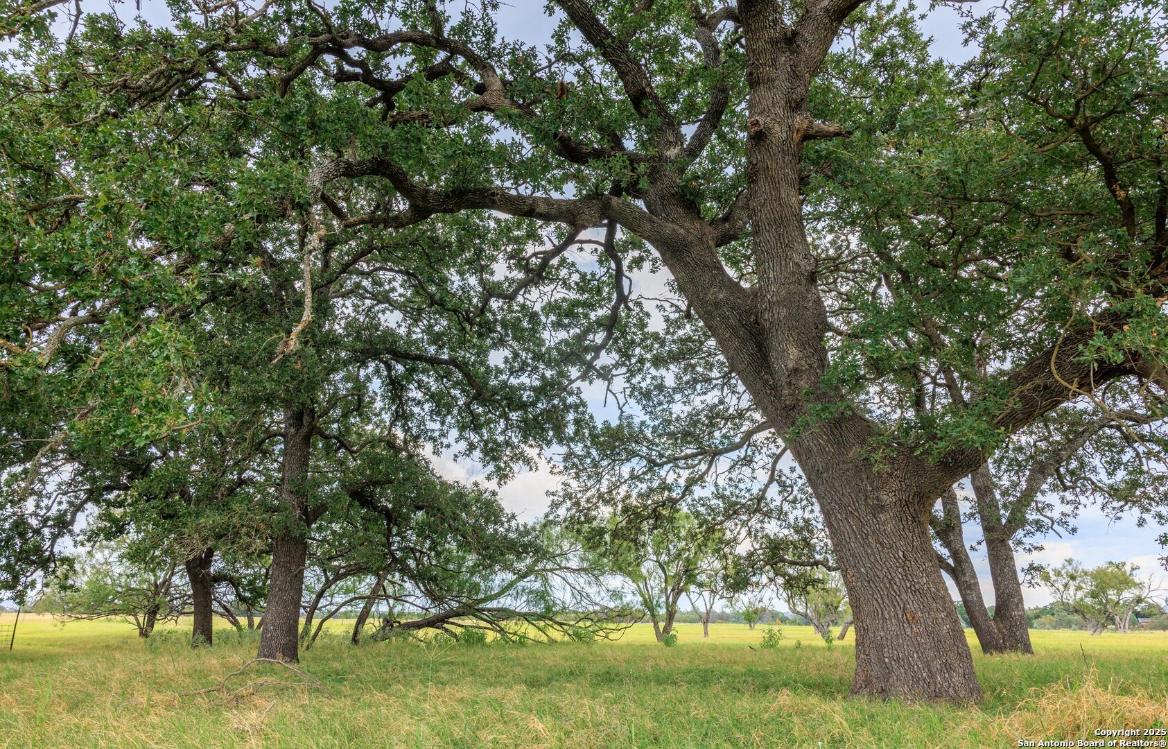 1080 S Eagle Street Fredericksburg TX 78624