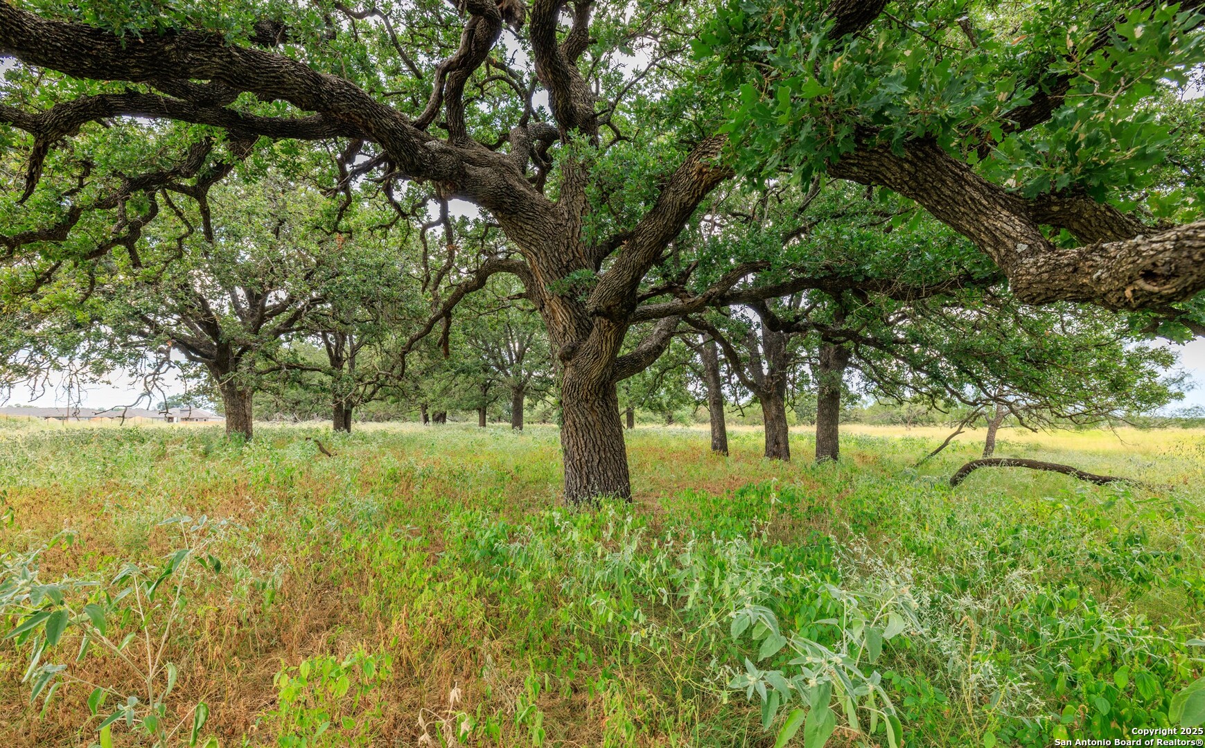 1080 S Eagle Street Fredericksburg TX 78624