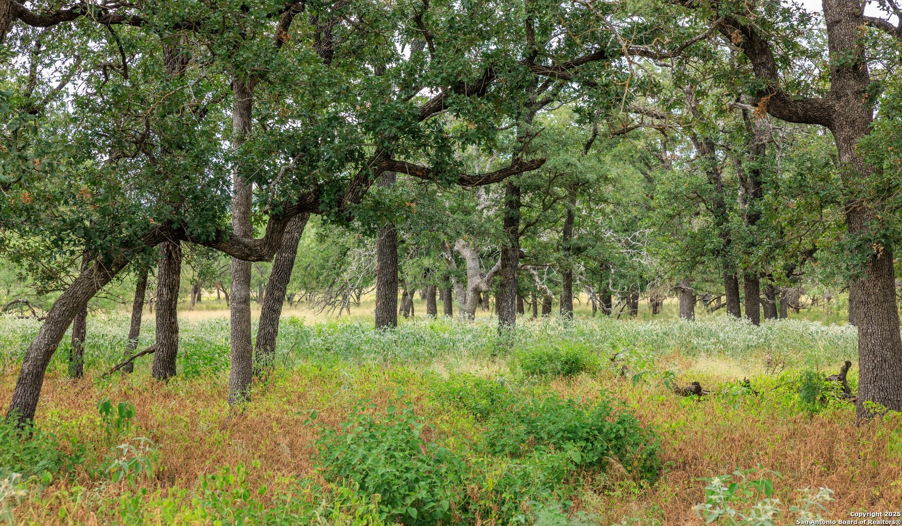 1080 S Eagle Street Fredericksburg TX 78624