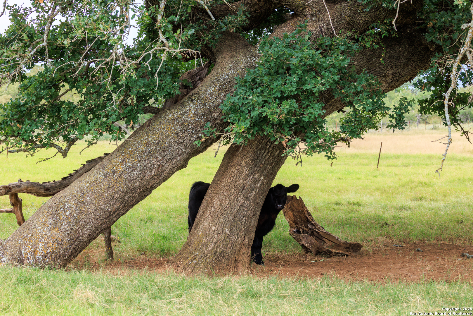 1080 S Eagle Street Fredericksburg TX 78624