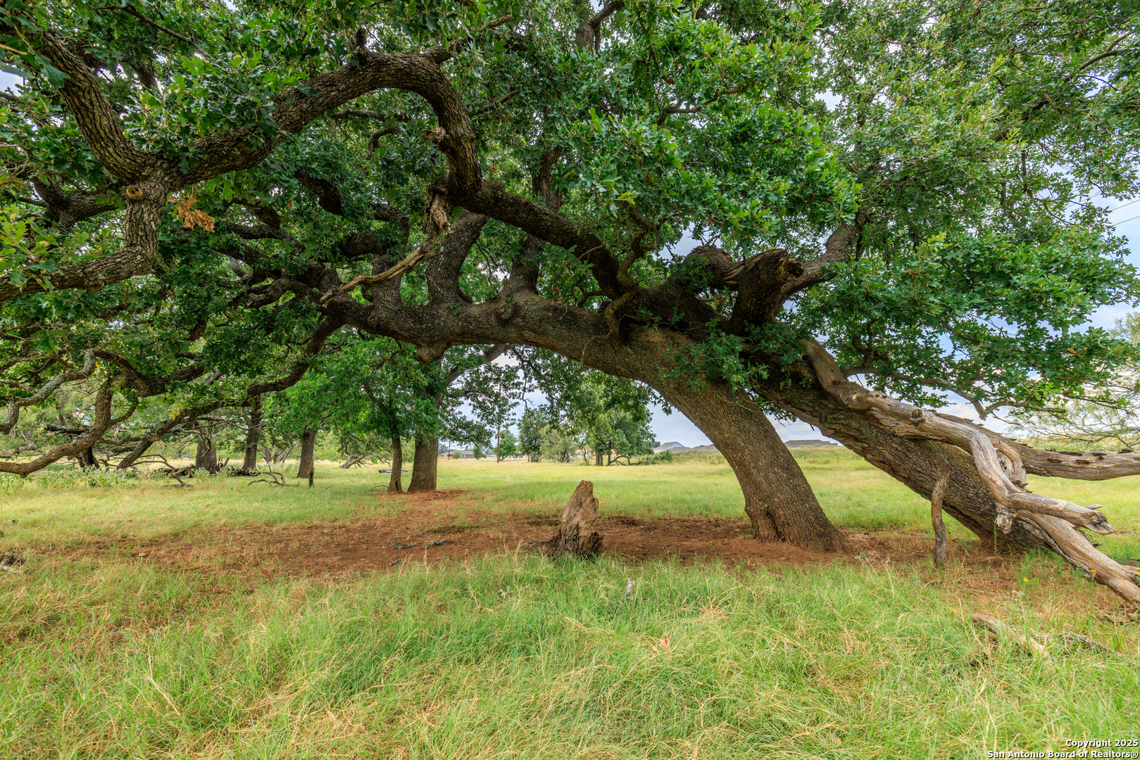 1080 S Eagle Street Fredericksburg TX 78624