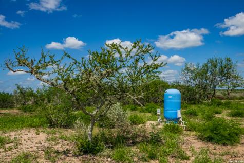 Tbd State Highway 16 Freer TX 78357