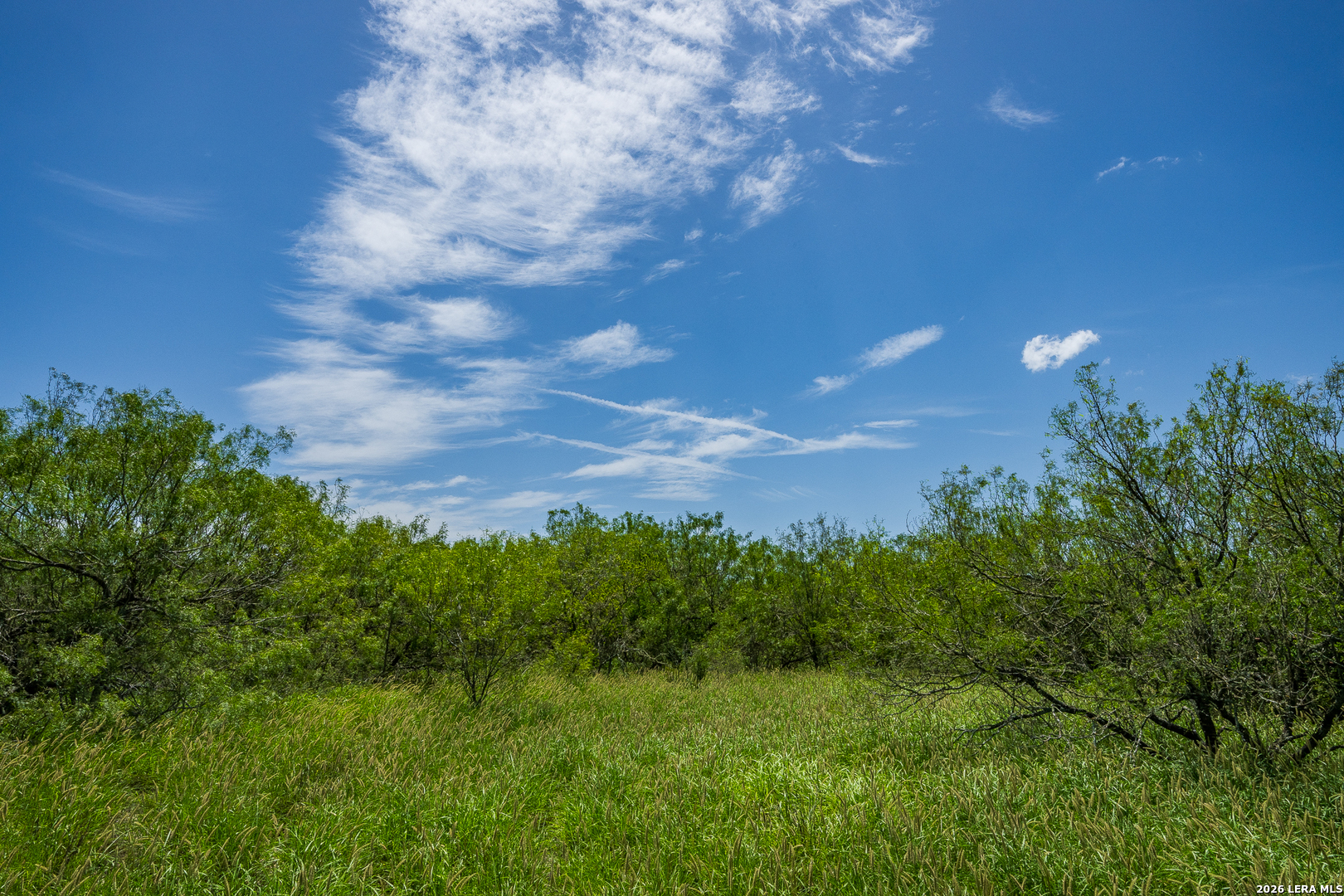 Tbd State Highway 16 Freer TX 78357