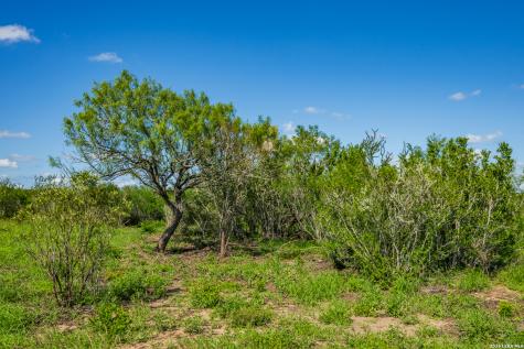 Tbd State Highway 16 Freer TX 78357