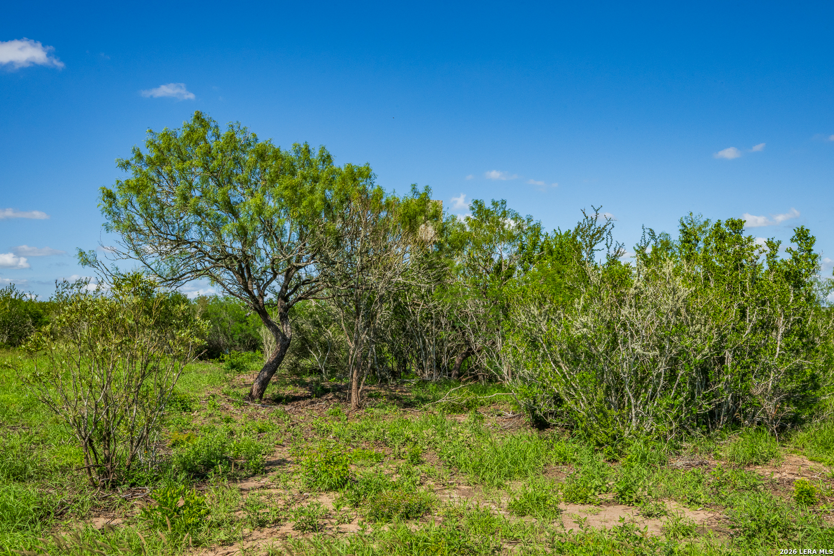Tbd State Highway 16 Freer TX 78357