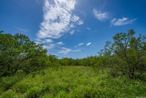 Tbd State Highway 16 Freer TX 78357