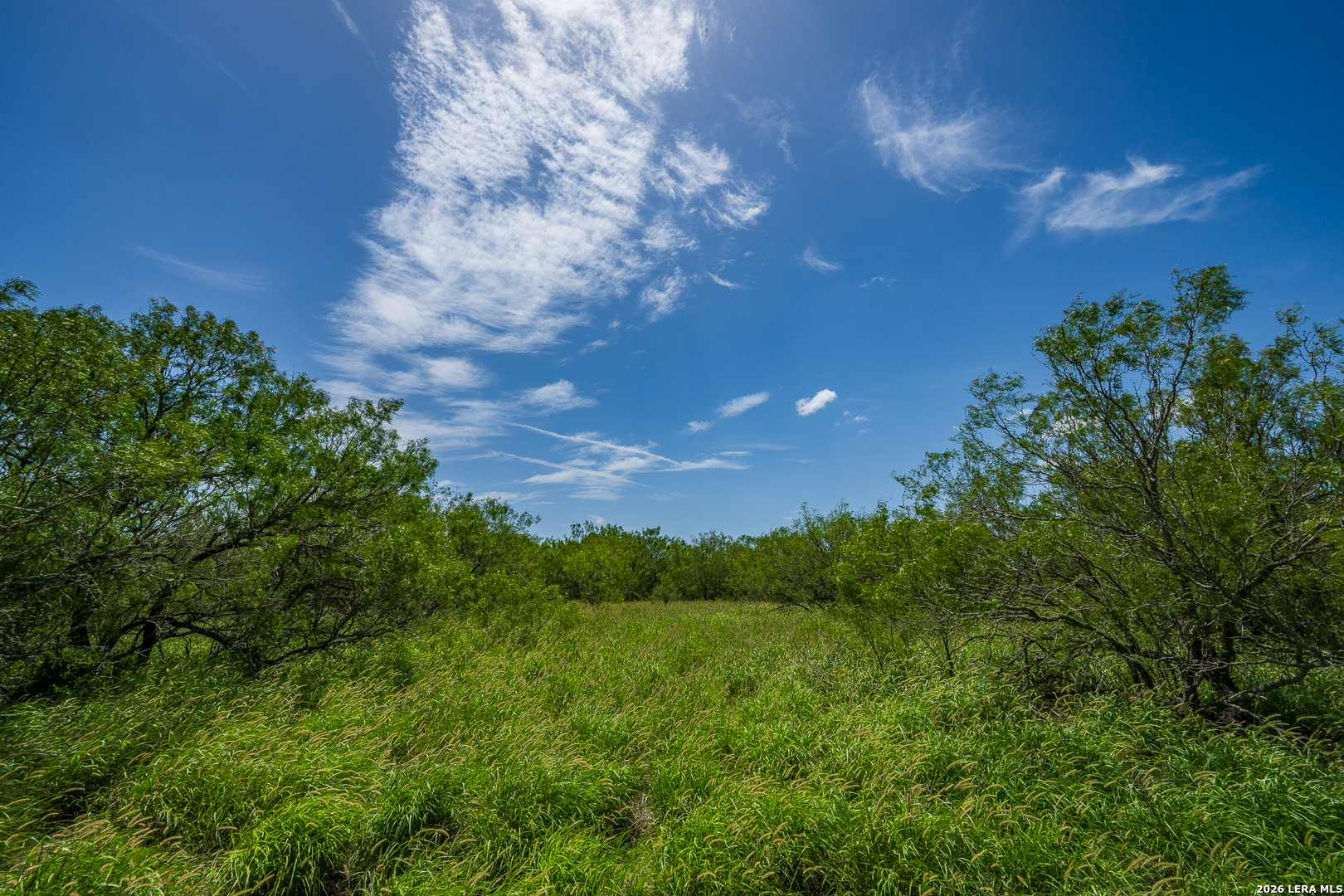 Tbd State Highway 16 Freer TX 78357