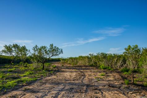 Tbd State Highway 16 Freer TX 78357