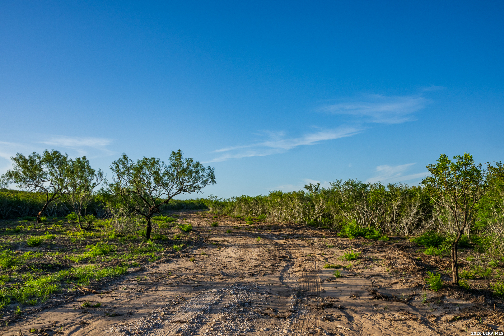 Tbd State Highway 16 Freer TX 78357