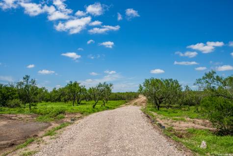 Tbd State Highway 16 Freer TX 78357