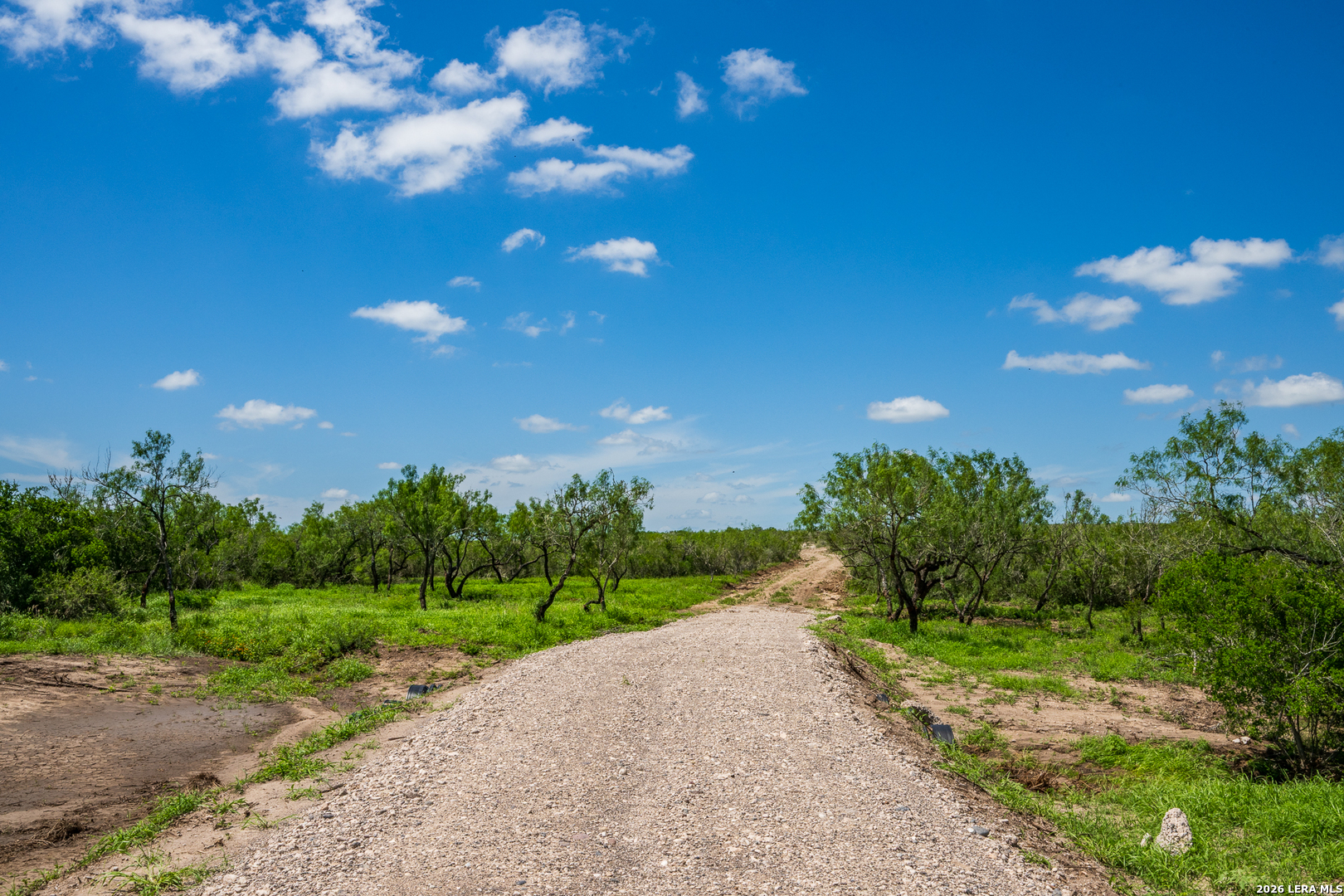 Tbd State Highway 16 Freer TX 78357