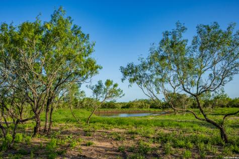 Tbd State Highway 16 Freer TX 78357