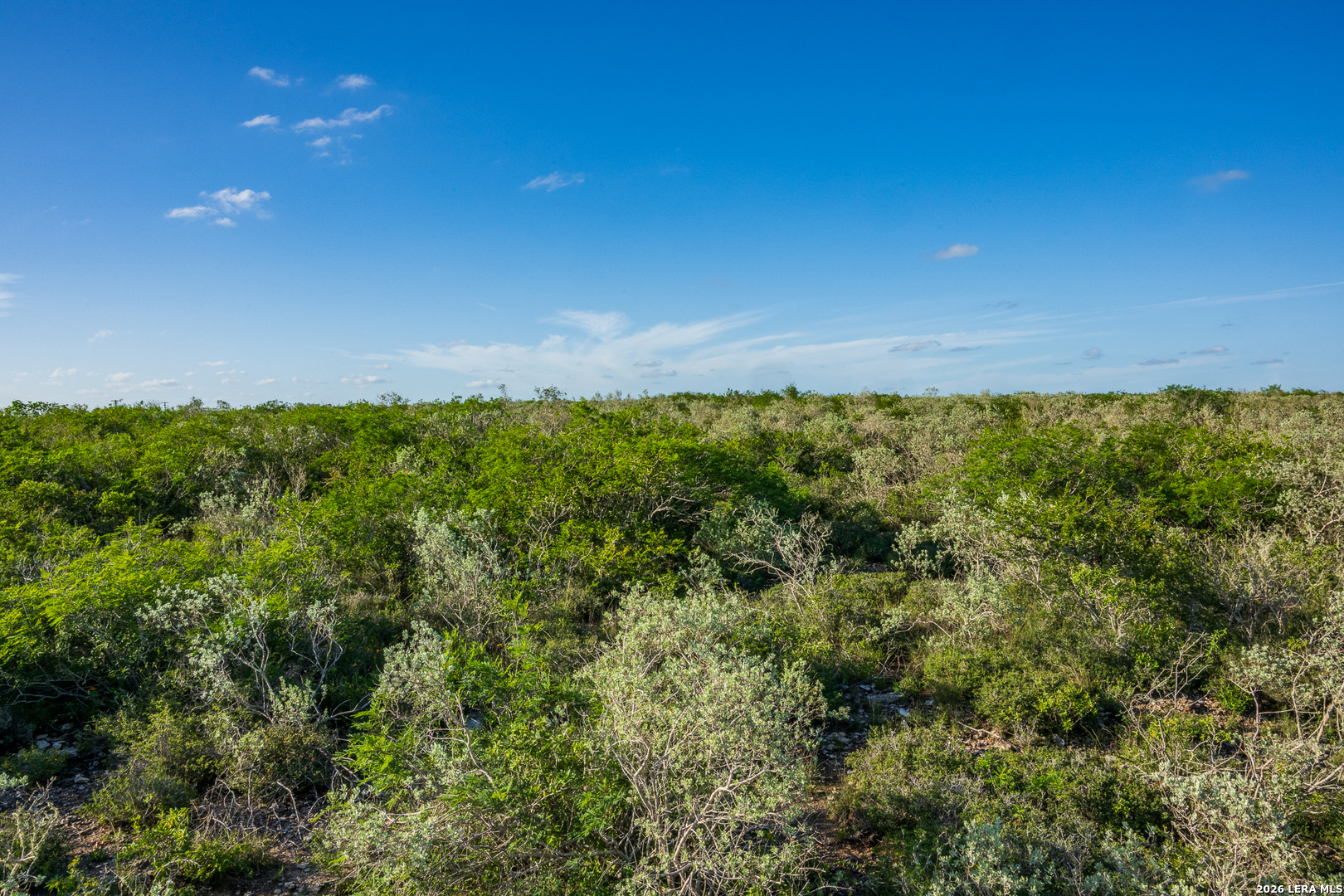 Tbd State Highway 16 Freer TX 78357