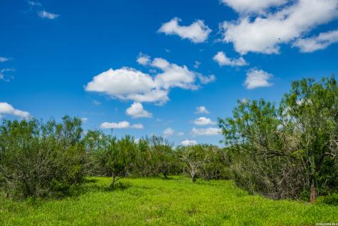Tbd State Highway 16 Freer TX 78357