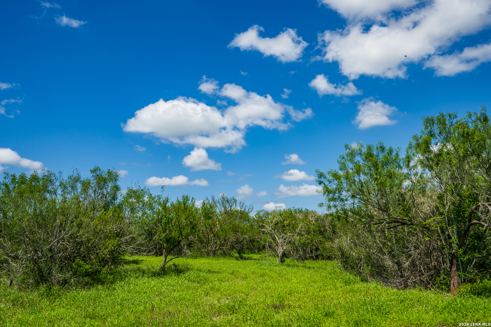 Tbd State Highway 16 Freer TX 78357