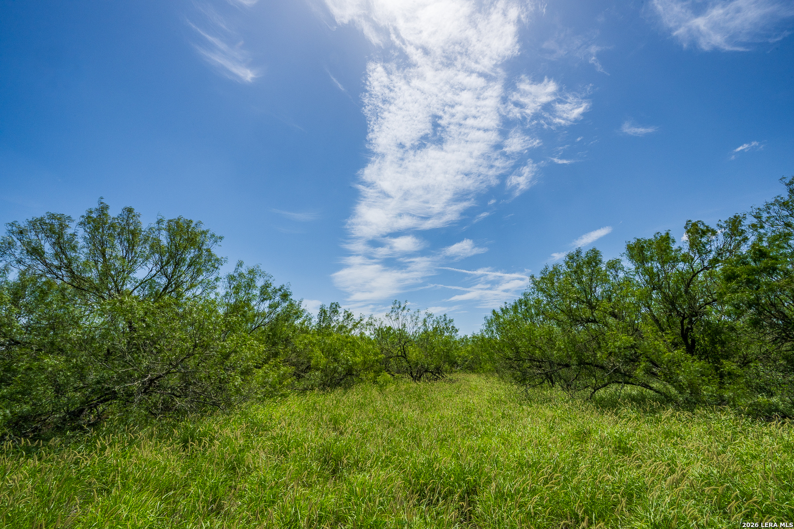 Tbd State Highway 16 Freer TX 78357